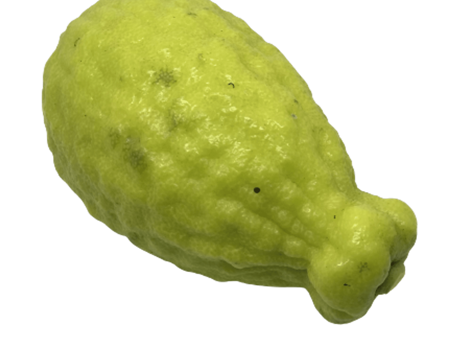 Onlayn rus pornosini tomosha qiling, yaqin planda kunnilingus