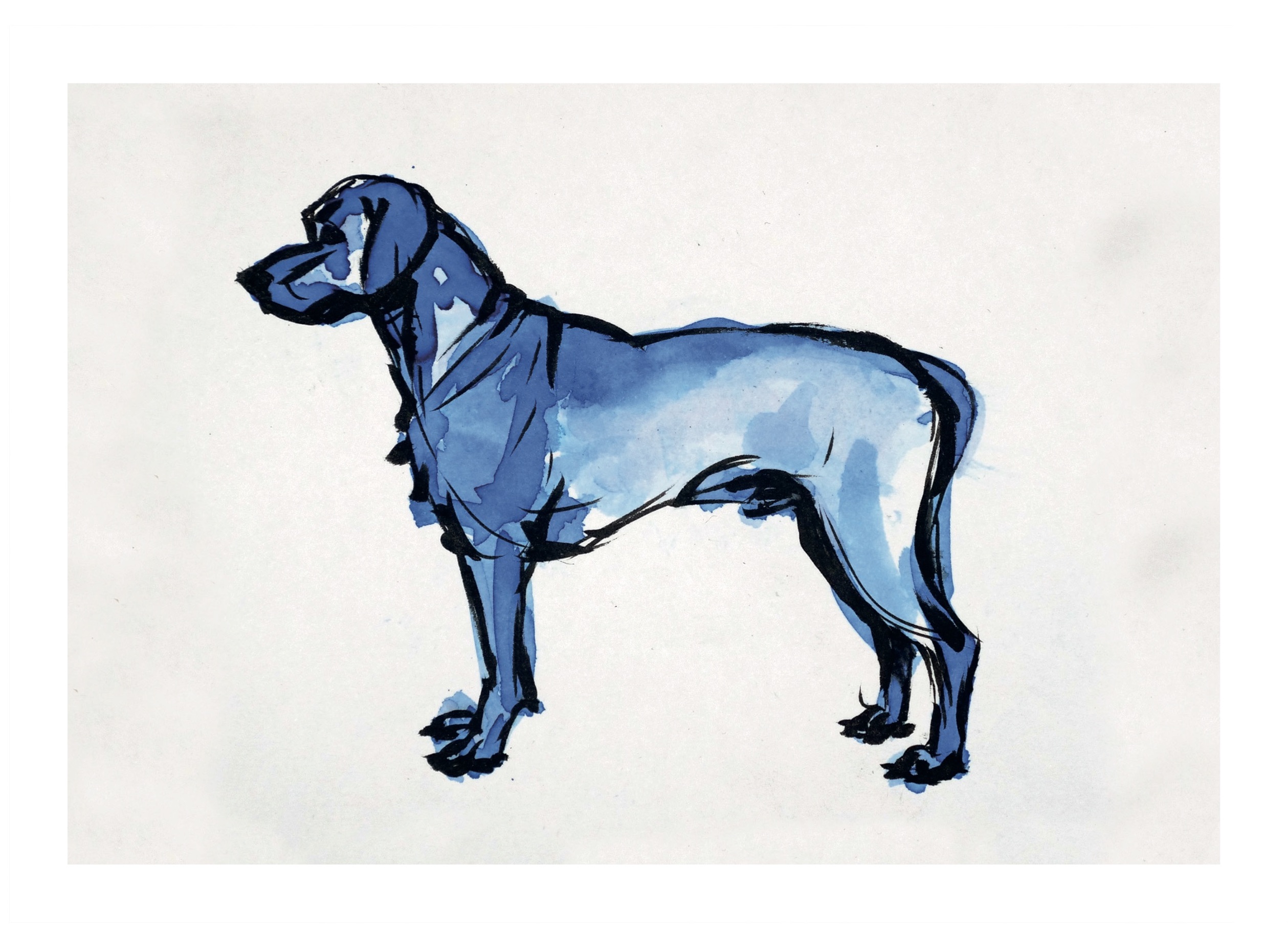 Braveheart ridgebacks sales