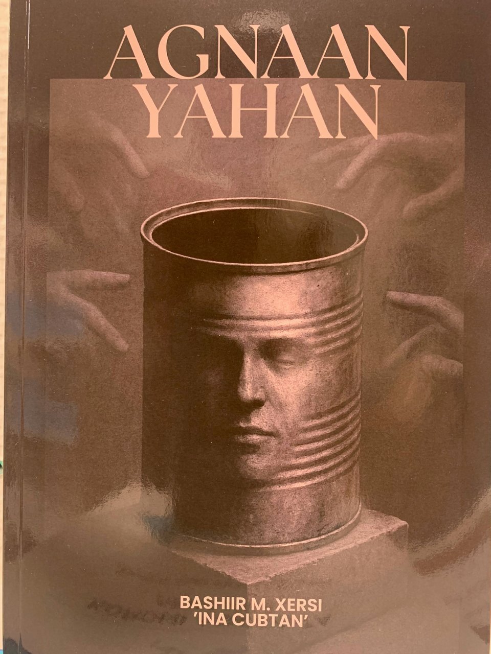Cover of Agnaanyahan