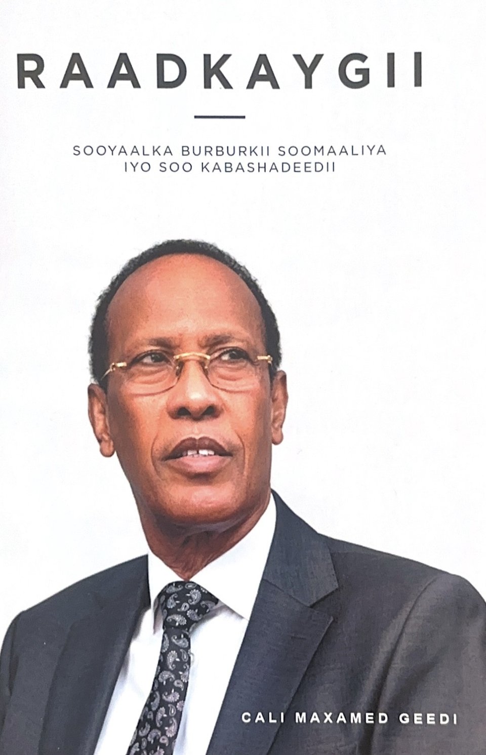 Cover of Raadkaygii