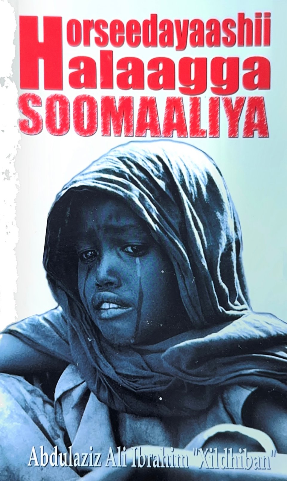 Cover of Horseedayaashii halaagga Soomaaliya, artikelnr 59816