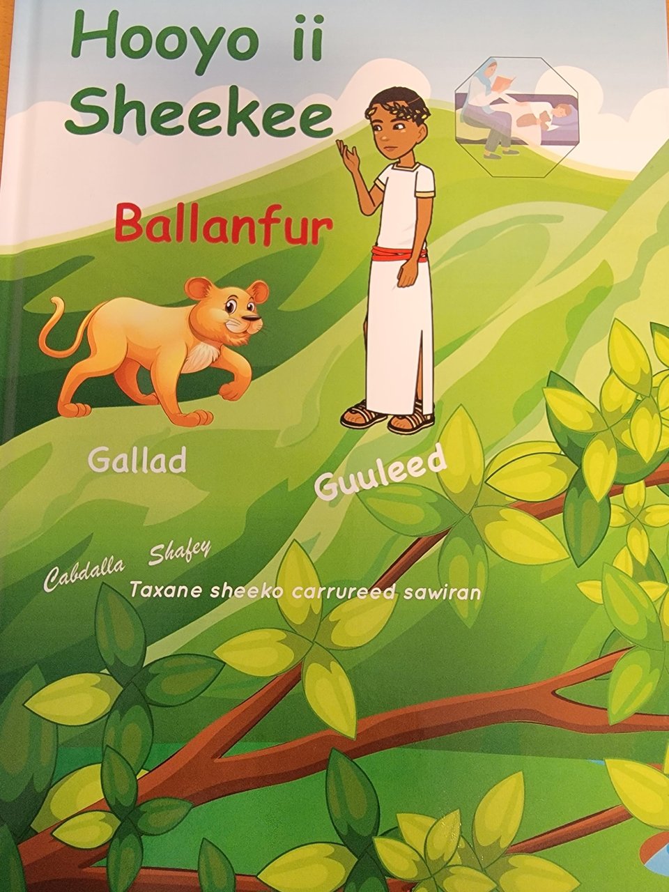 Cover of Hooyo ii Sheekee ( Ballanfur)