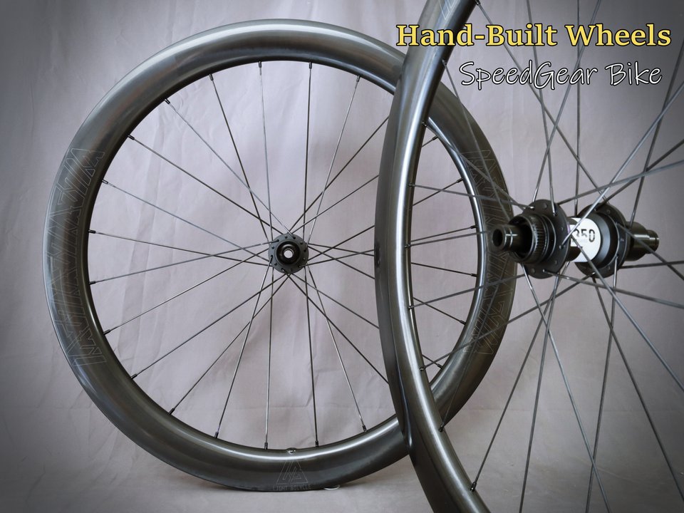 DT Swiss 350 / Light Bicycle Falcon Pro - SpeedGear Bike Shop