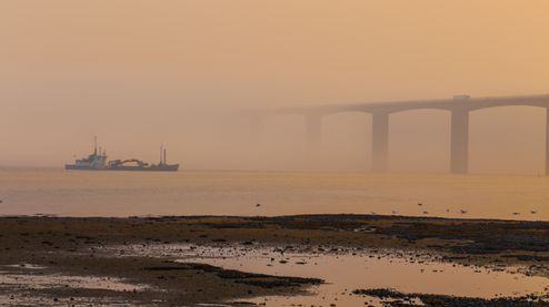 Evening Fog