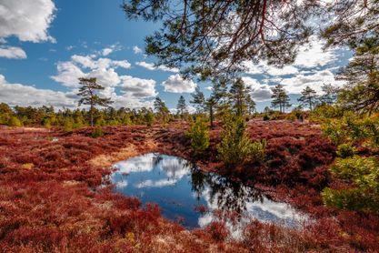 Frederikshåb Plantage