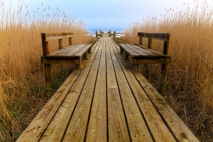 Jetty