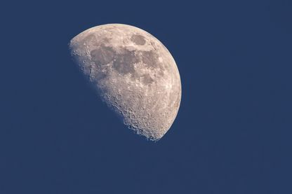 Moon
