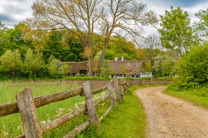 The Farm