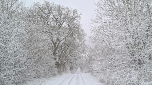 Winter Road