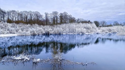 Winter
