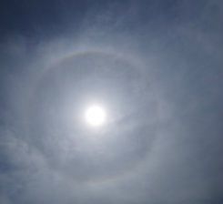 Volledige of gedeeltelijke, gekleurde of witte ringen om de zon of de maan. Ze zijn zeer verschillend van uiterlijk en komen meestal 
voor in wolken in hogere luchtlagen, zoals cirrus en cirrostratus, of bij lichte ijsnevel. Deze ijsnevel of hoge bewolking is soms zo ijl dat hij niet te zien is. De halo is dan de enige aanwijzing van de aanwezigheid van deze bewolking of nevel. De halo wordt veroorzaakt door de breking en terugkaatsing van zon- of maanlicht in en op de ijskristallen waaruit de genoemde bewolking bestaat. Van de vorm en de oriëntatie van de 
kristallen zal afhangen in welke vorm de halo zich vertoont. Soms zijn verschillende vormen tegelijk aanwezig. De voornaamste vormen zijn: de halo van 22° (kleine of gewone kring), de halo van 46° (grote kring), de parhelische ring, de raakboog, de circumzenitale boog, de bijzon, de tegenzon en de bijtegenzon, de onderzon en de lichtzuil. Halo-verschijnselen, die zich in de buurt van de zon bevinden, zoals de kleine kring en de bijzonnen, zijn het best te observeren door een zonnebril. Bij de maan zijn de halo's met het blote oog goed waar te nemen, zij het dat door de geringe lichtsterkte de kleuren niet te zien zijn. 