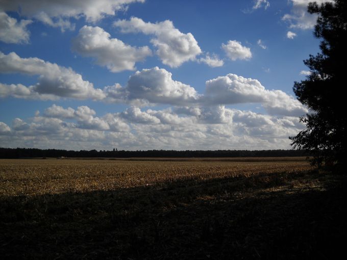 Ingezonden door Adriaan van de Werken; De Kempen in België