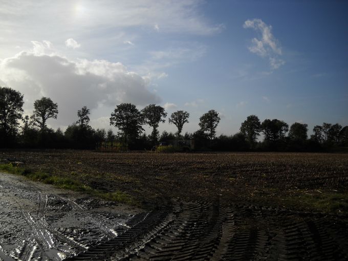 Ingezonden door Adriaan van de Werken; De kempen in België