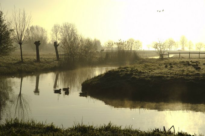 Prachtig Hollands landschap