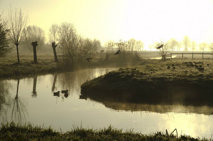 Prachtig Hollands landschap