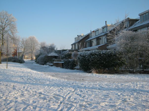 Wintersplaatje
