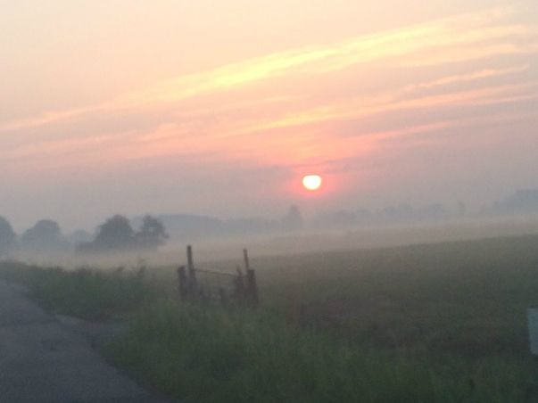 Ochtend mist 3