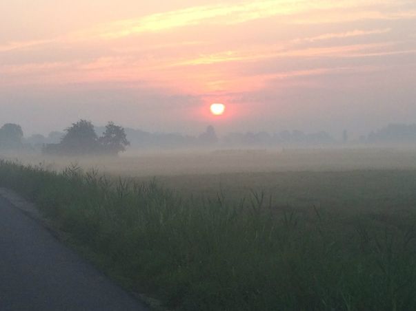 Ochtend mist 4