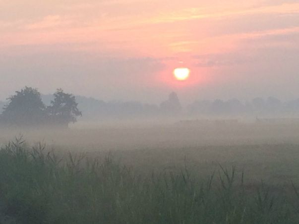 Ochtend mist 5