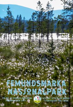 FEMUNDSMARKA