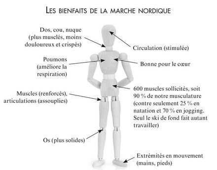 Les bienfaits...