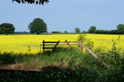 606 Photo Studio 012