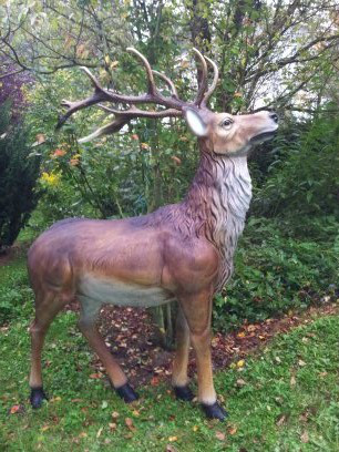 cerf en resine et fibres de verre grandeur nature 194 cmx170 cm
peinture acrylique anti UV 
livraison sur devis