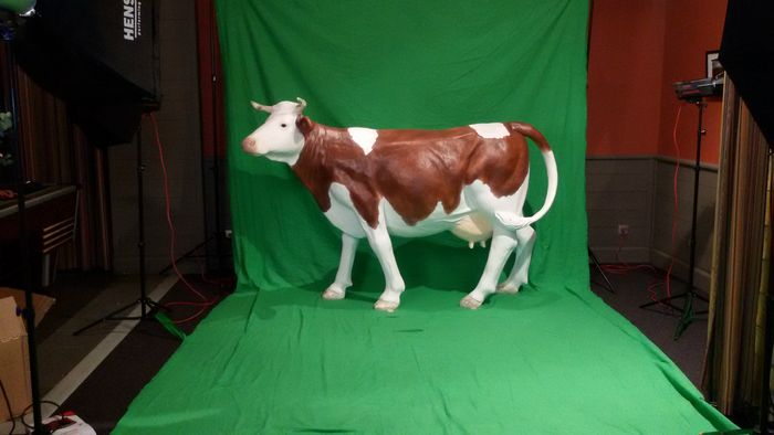 vache en résine et fibre de verre 3 couches grandeur nature 
220x160x75 cm 
45 kg fabrication européenne 