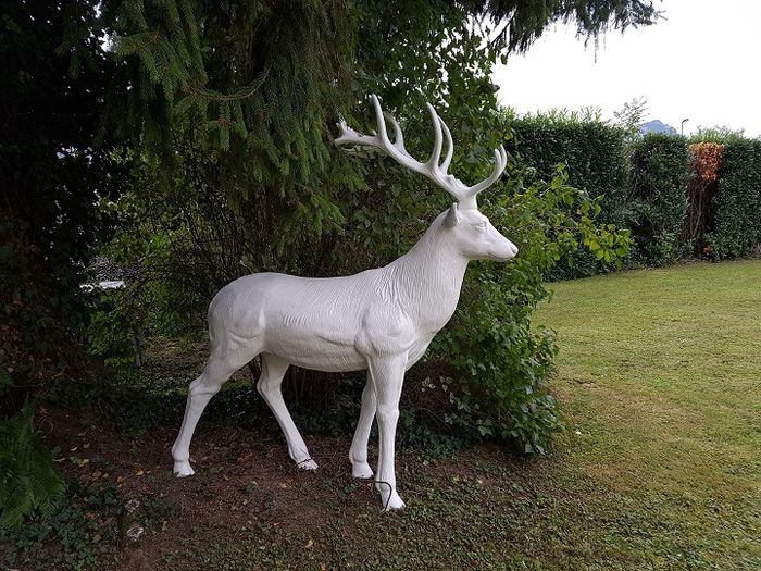 cerf en résine et fibres de verre 
coloris blanc pour déco mariage 
hauteur 204 cm