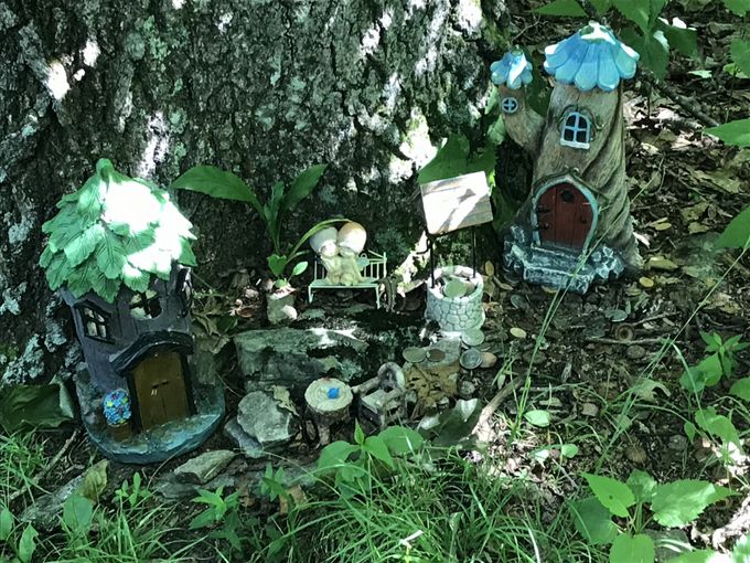 Trail gnomes
