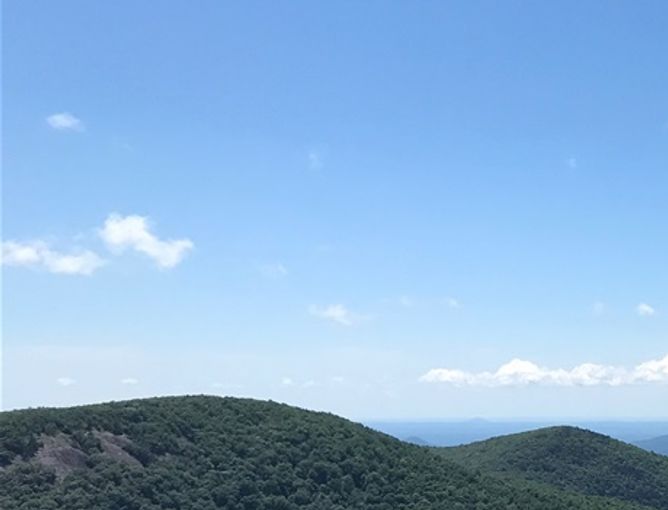 View from Blood mountain. A lot of blood, sweat and tears shed on this climb and decent. Highest point in Georgia.