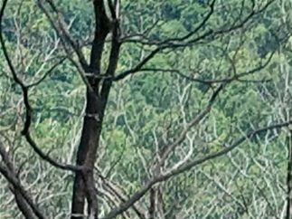 Looks like these three hikers gave up and just left their packs sitting there....or
