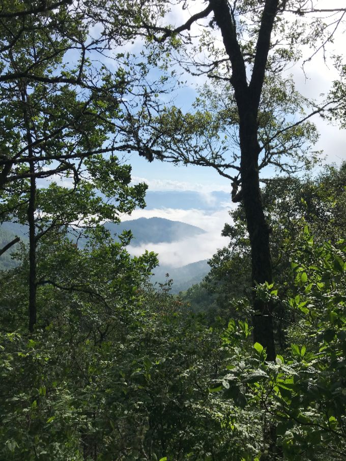 Day 11 morning. Beautiful site of the fog burning off.