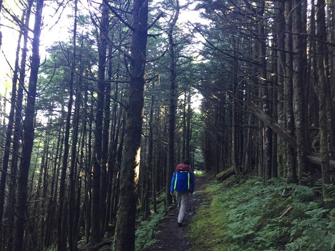 Beieve it or not, a cold morning on the trail.