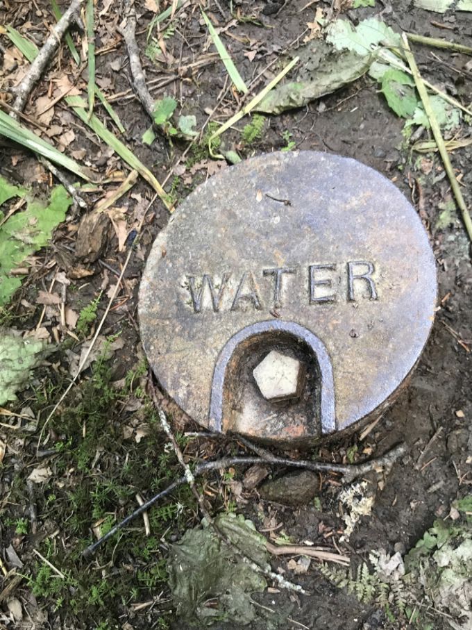 Came across this water source on the trail but couldn't figure out what kind of spring it was.