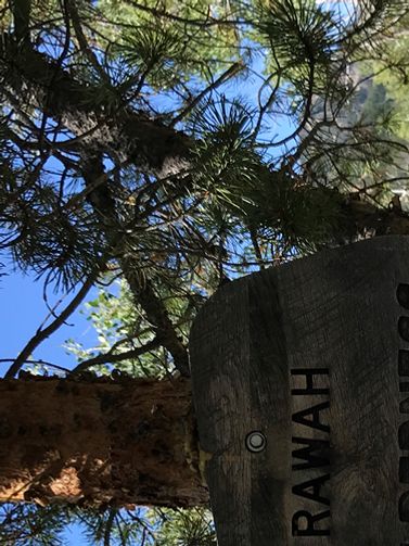 Rawah Wilderness was where we hiked and a wilderness it was!