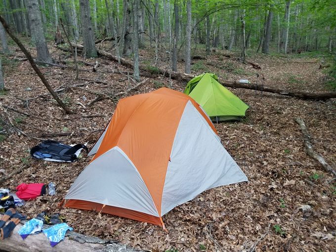 First night of camp was a stealth site (an old logging road). During the night we heard some crazy snorting sounds. I thought it was MacGyver snoring but he told me in the morning that it was a Buck snorting at us trying to get us to move (we didn't).