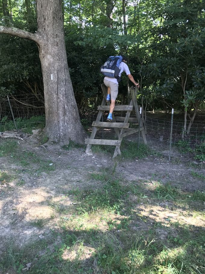 Up and over a tricky fence.