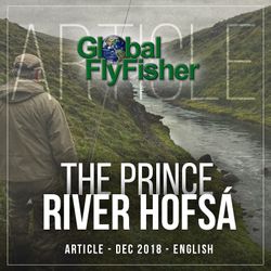 The Prince, River Hofsa