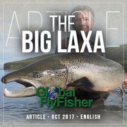 The Big Laxa 