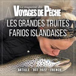 Les grandes truites farios islandaises