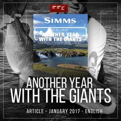 Another year with the giants 2017