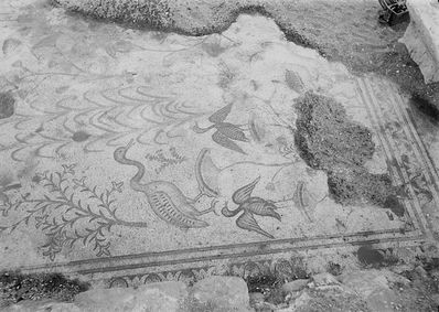 800px-Northern_views._Ain_Tabgha._Mosaic_floor._Water_fowl,_etc._LOC_m