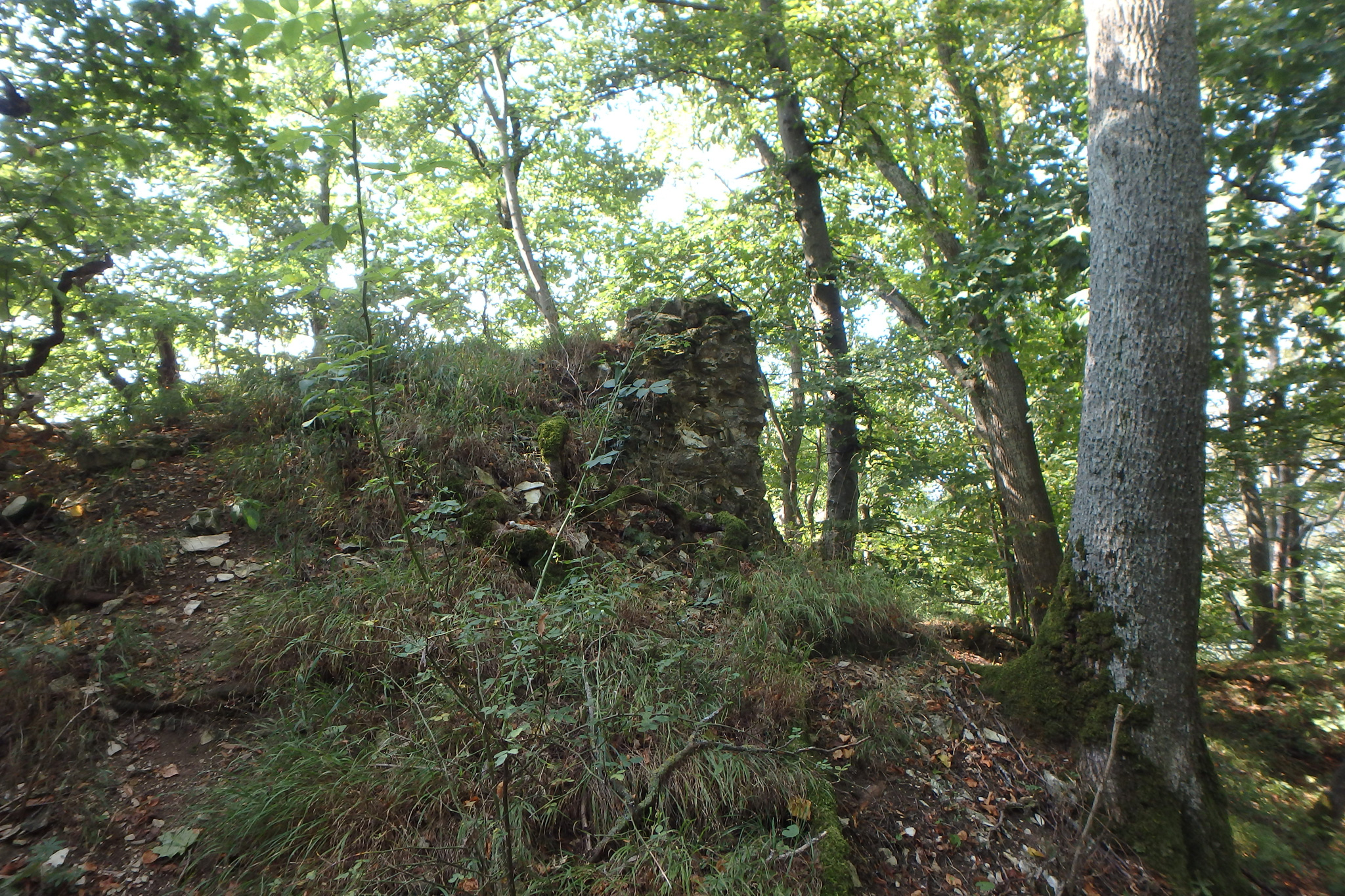 Burgreste Gromberg