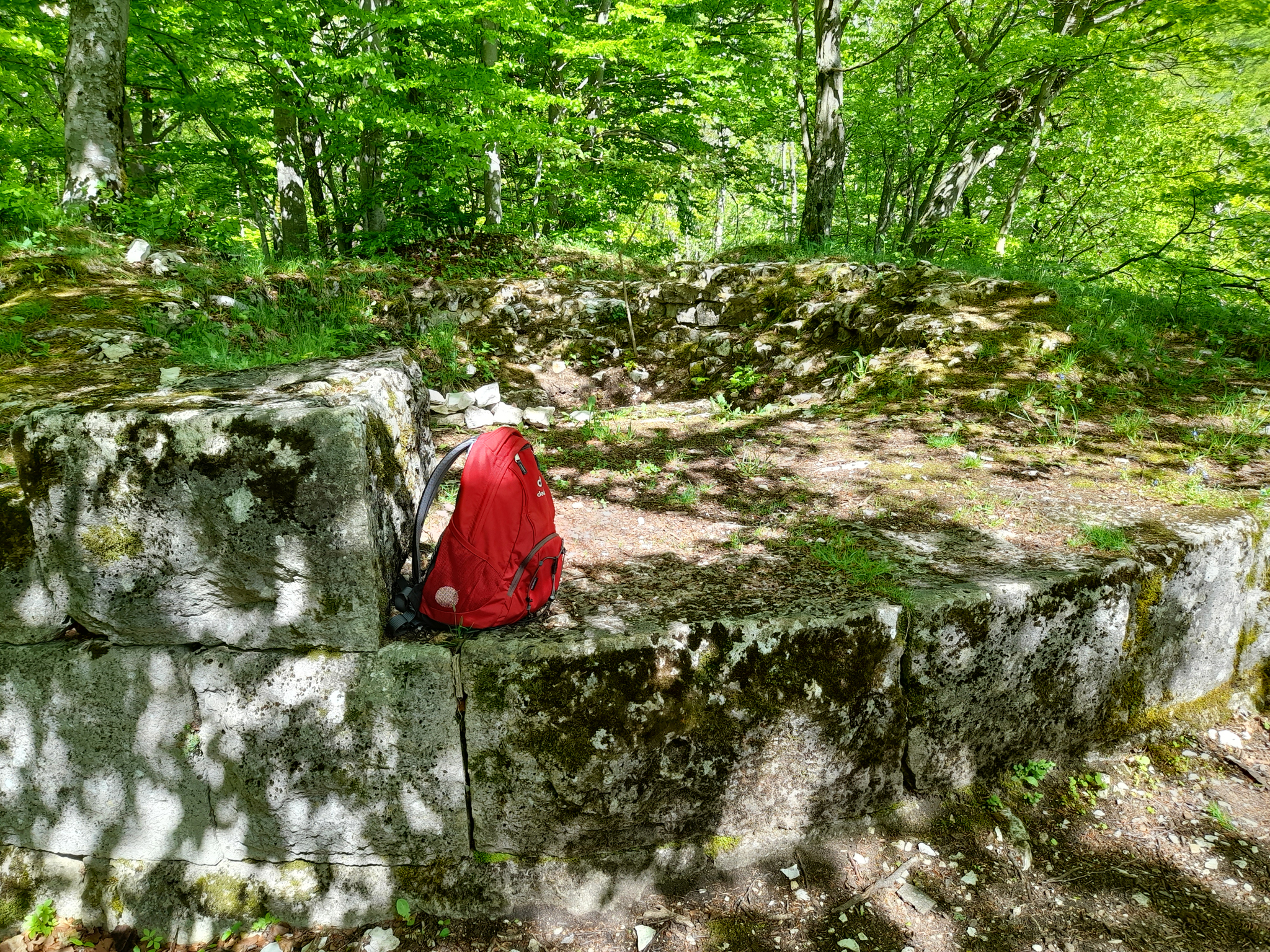 Burg Granegg