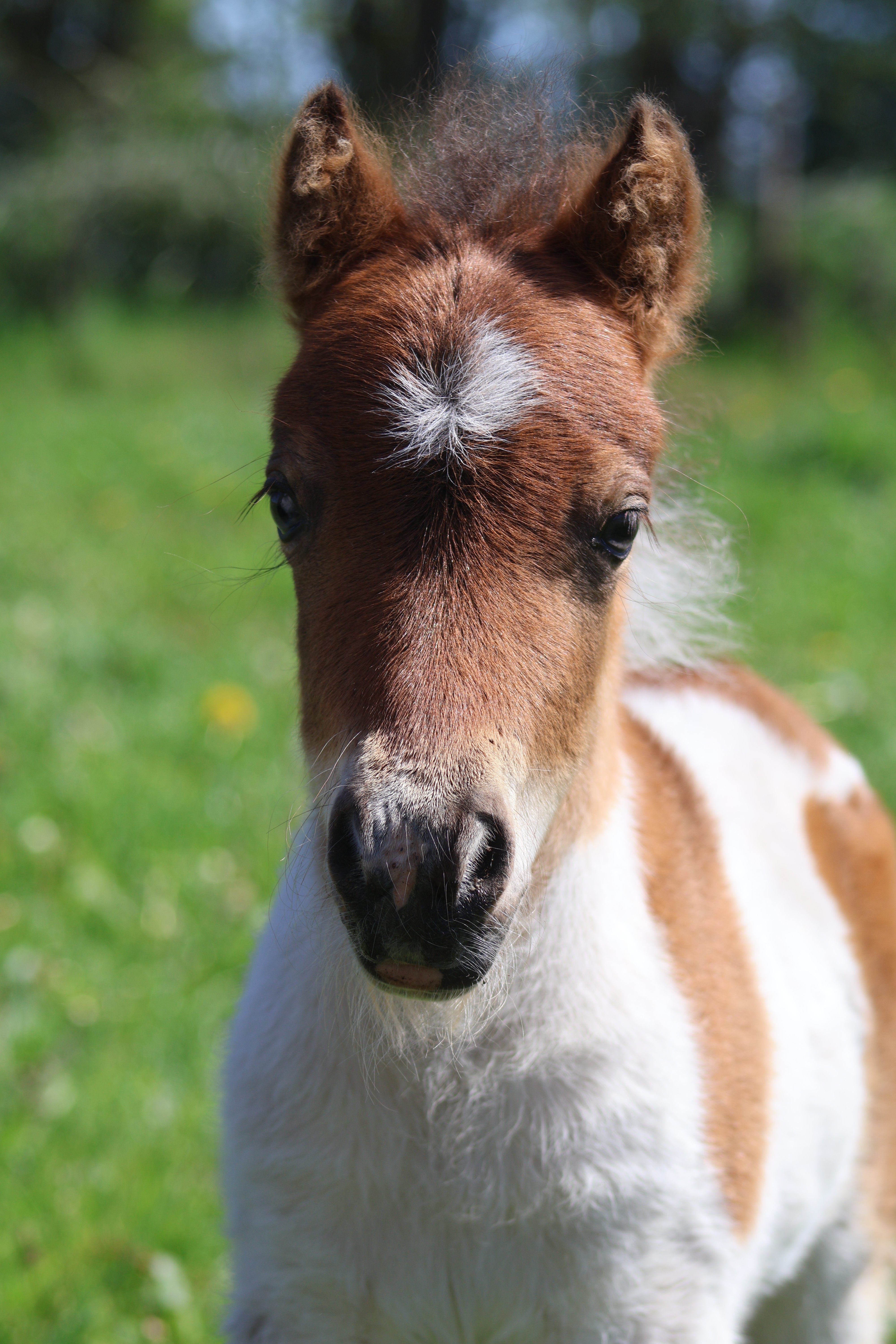 Excalibur 14 maj 2024 3