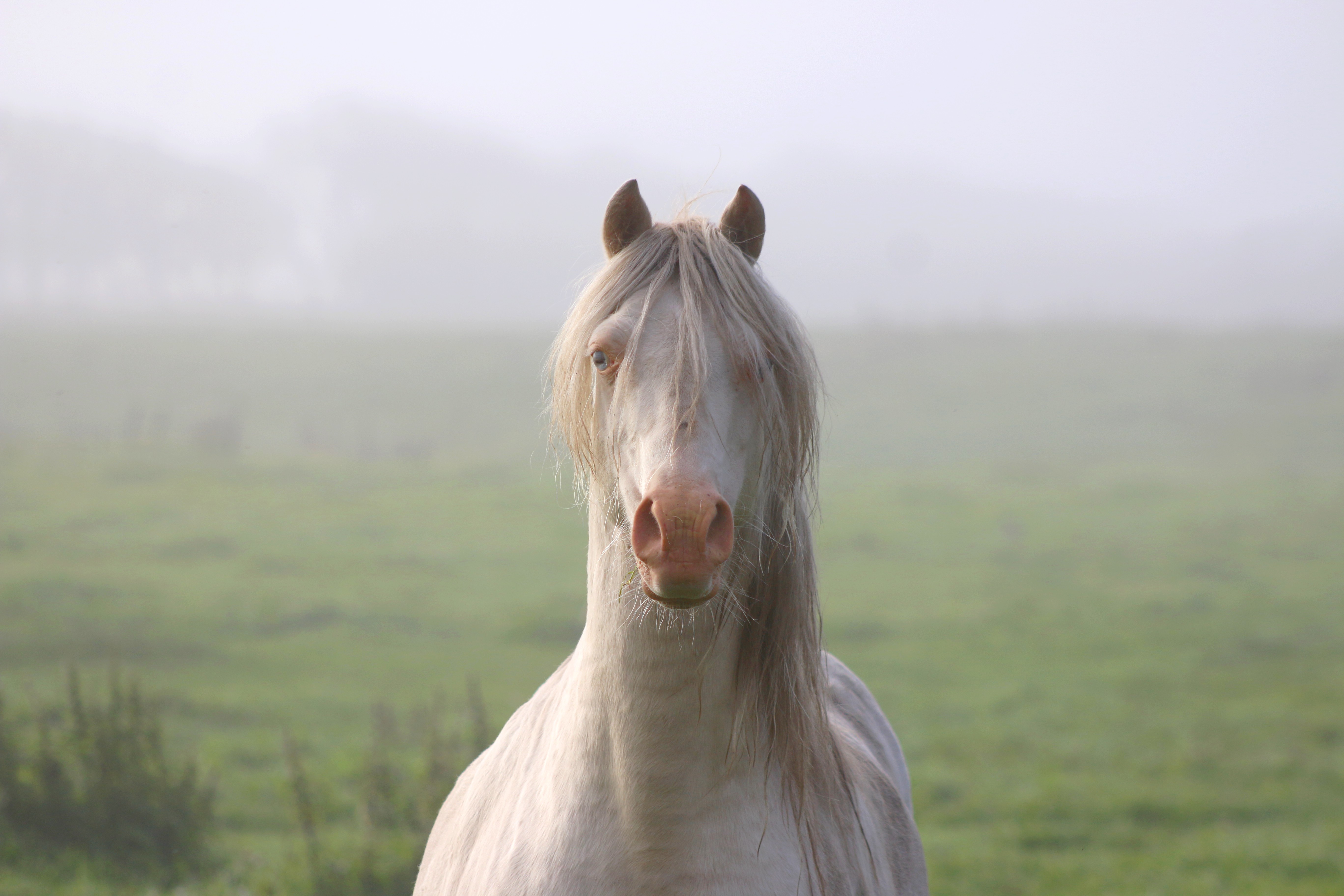 Inox 23 september 2017