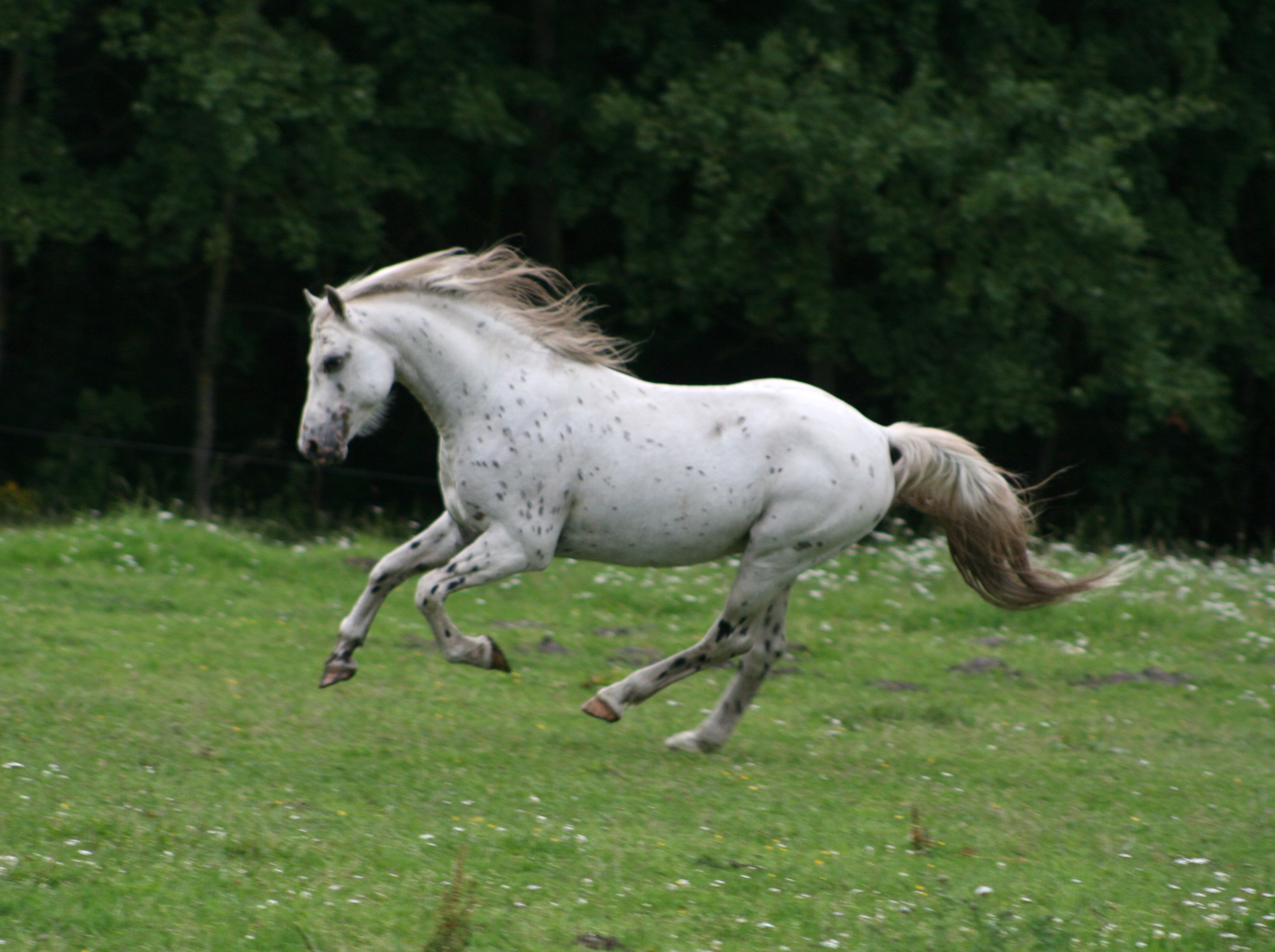 Odin 21 juli 2011
