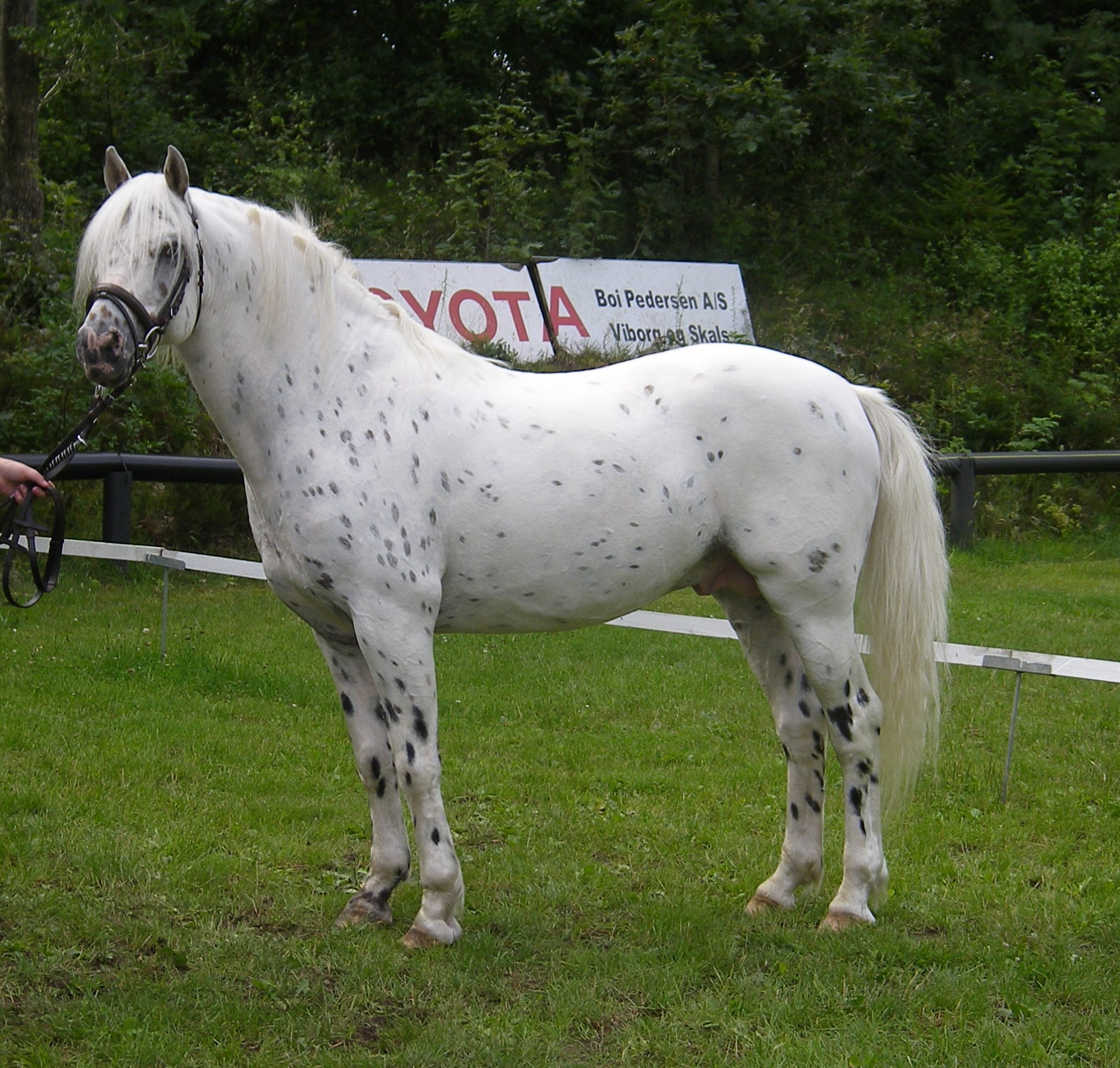 Odin 31 juli 2010 22