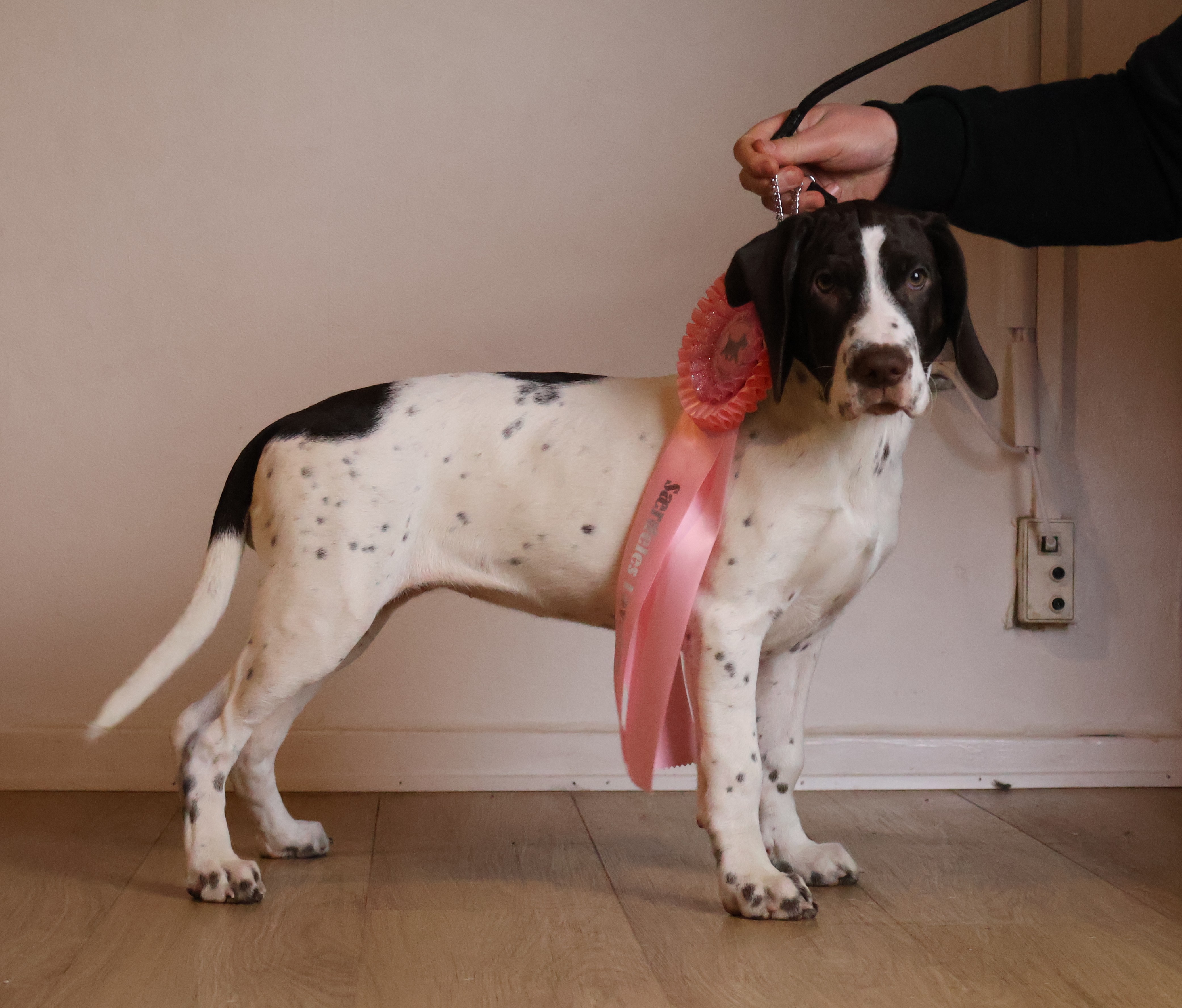 Soya 11 febuar 2024 5